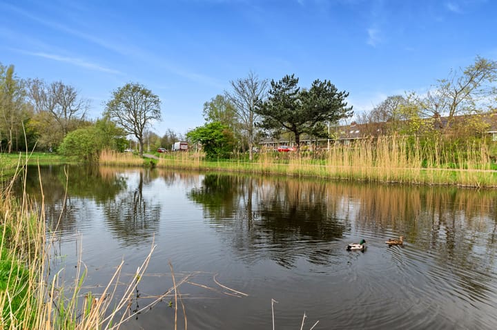 Foto 3 van Lobelialaan 137