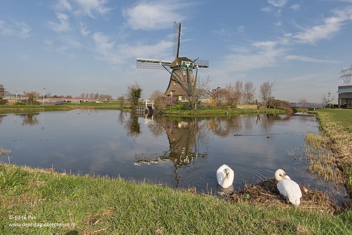 Foto 36 van Keizershof 11