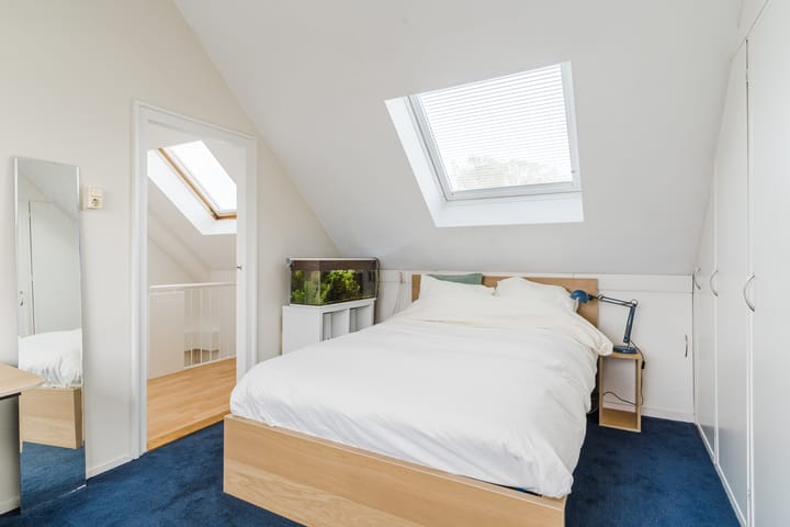 Foto 25 van Dommelstraat 19