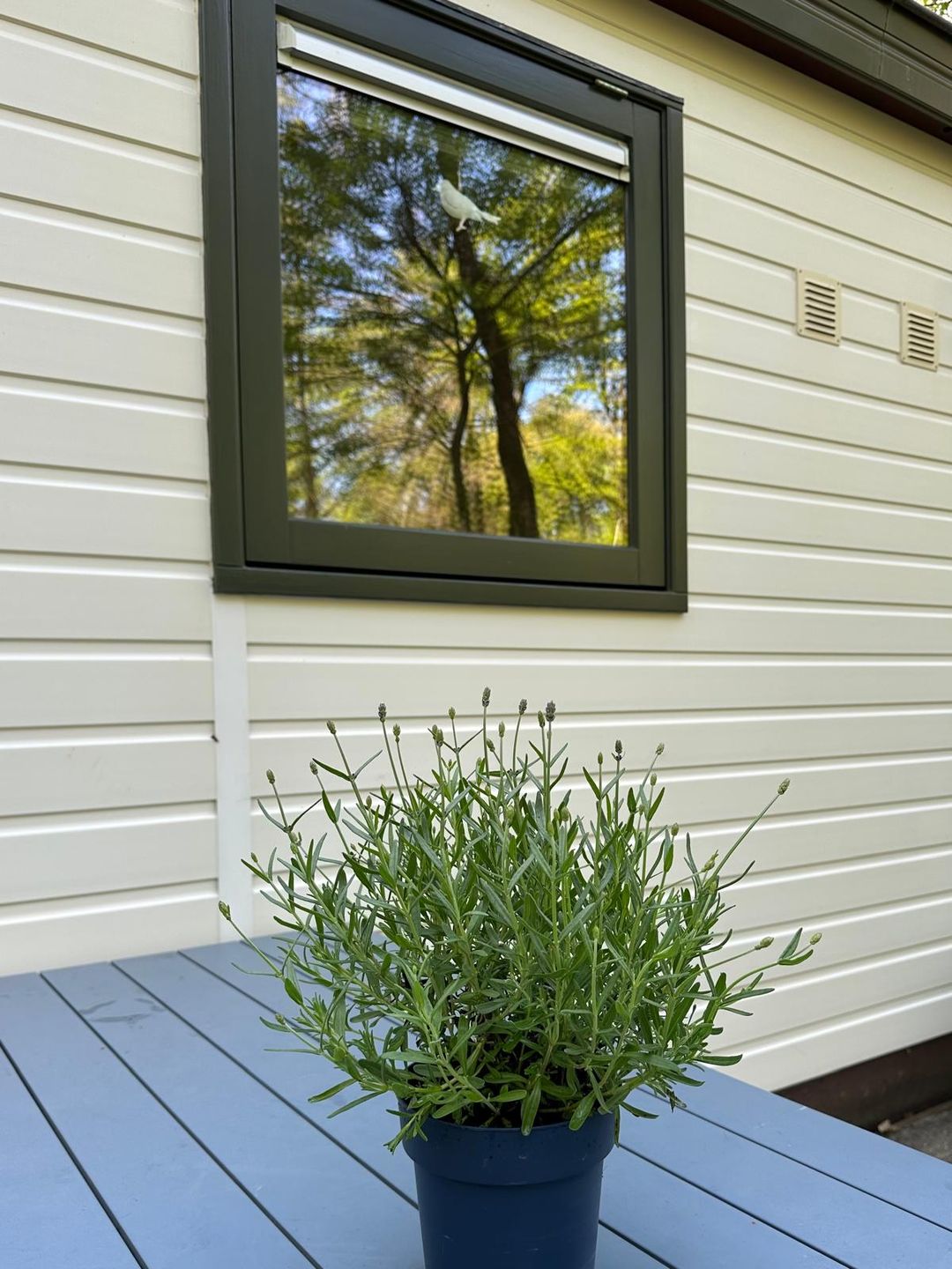 Foto 17 van De Jutberg 78-B3