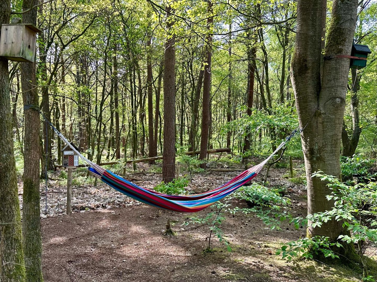 Foto 19 van De Jutberg 78-B3