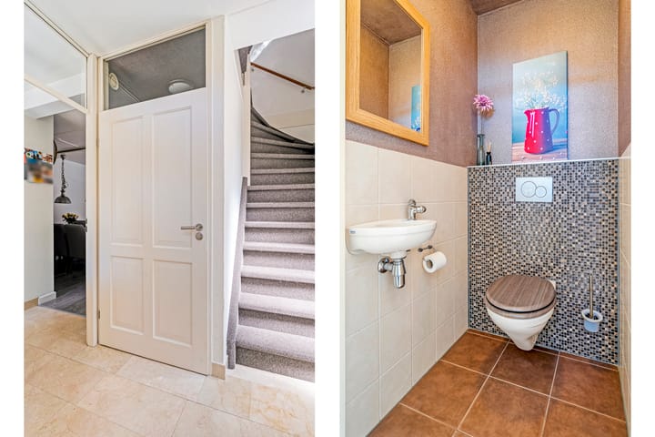 Foto 12 van Sperwer 12