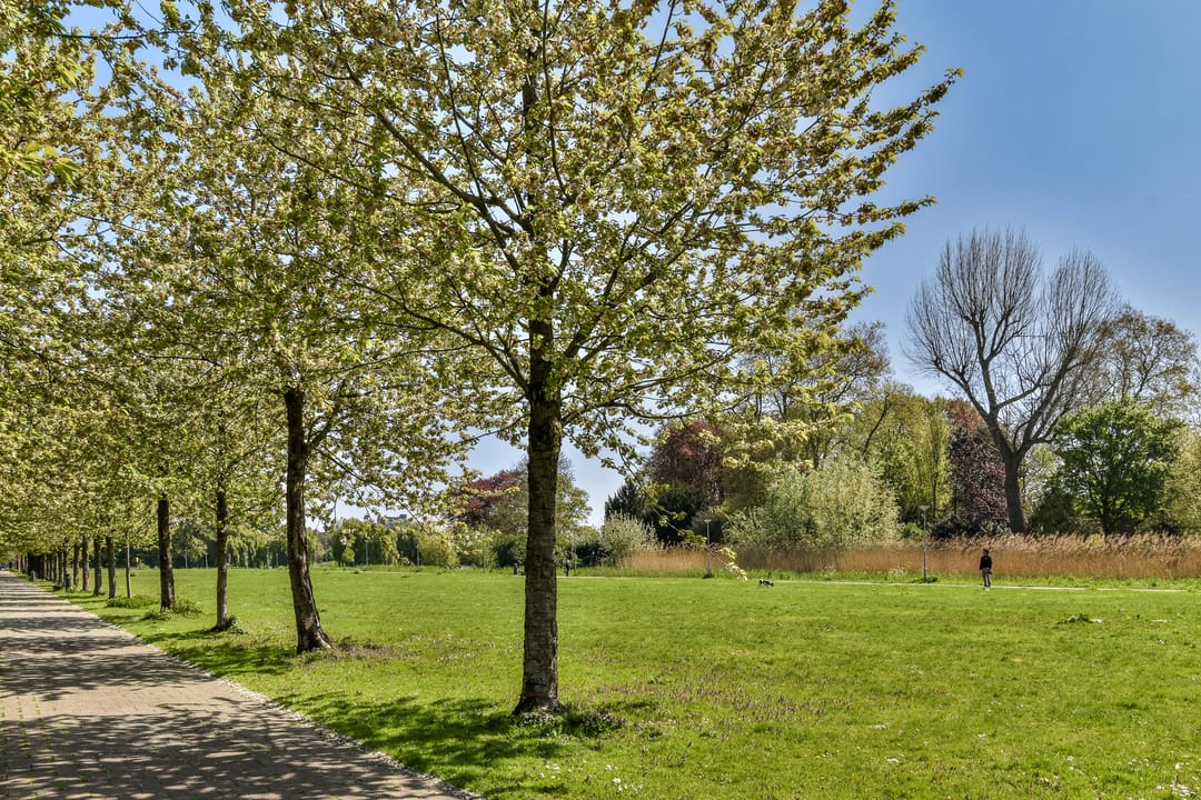 Photo 31 of A. Noordewier-Reddingiuslaan 3