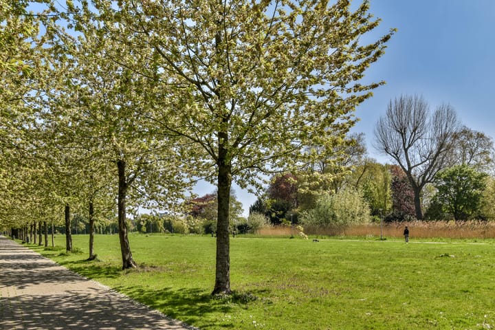 Foto 31 van A. Noordewier-Reddingiuslaan 3