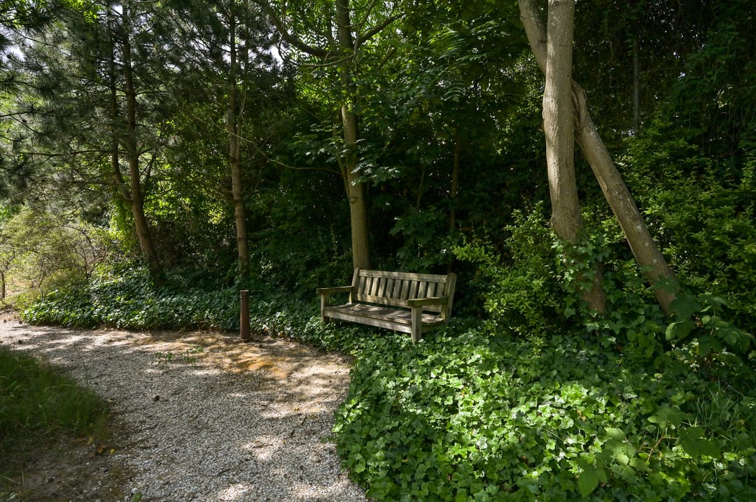 Foto 52 van Duinweg 81