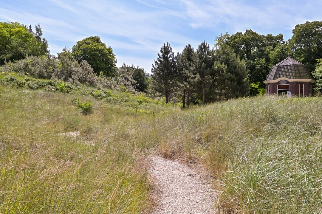 Foto 53 van Duinweg 81