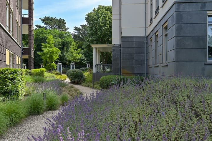 Foto 56 van Duinweg 81