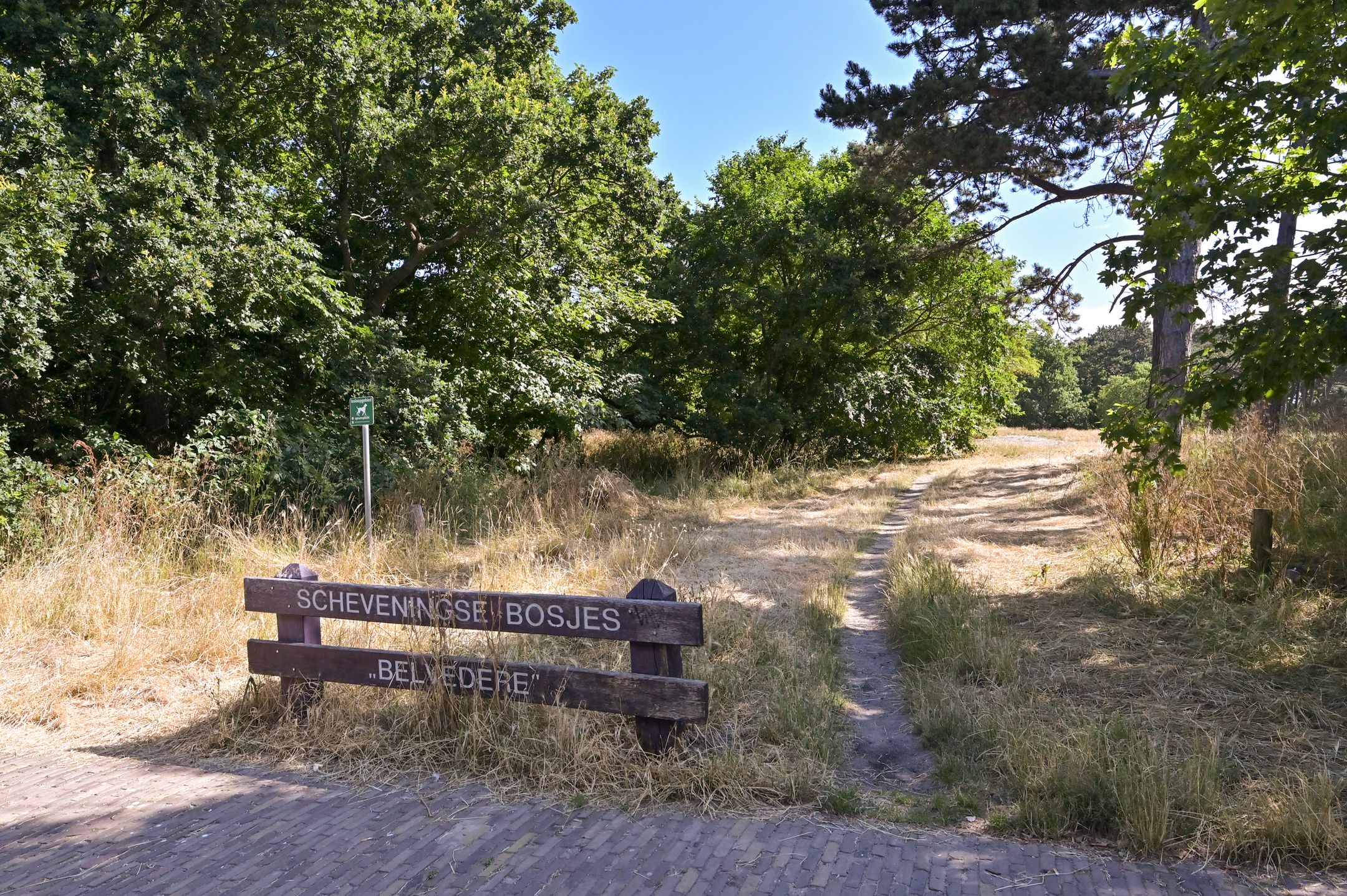 Foto 57 van Duinweg 81