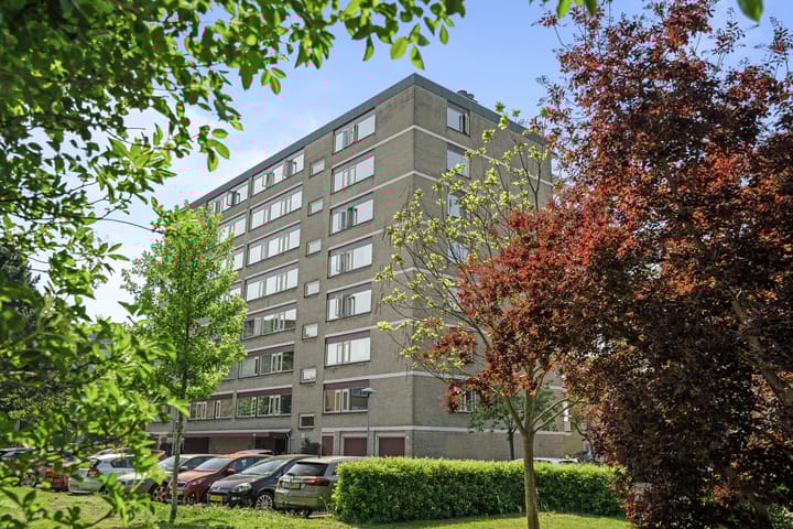 De Vooysplantsoen 41