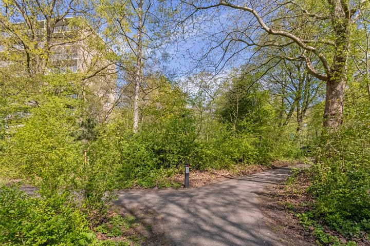 Foto 37 van Westervenne 233