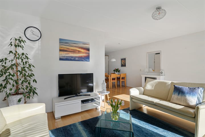 Foto 6 van Swingmastate 30