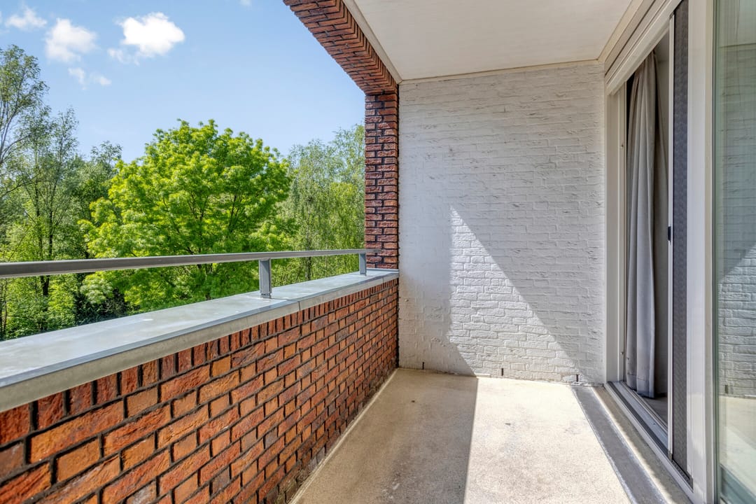 Foto 8 van Laan van Europa 357