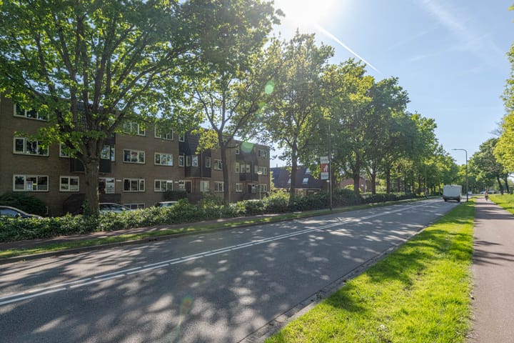 Foto 24 van Rosmolen 43