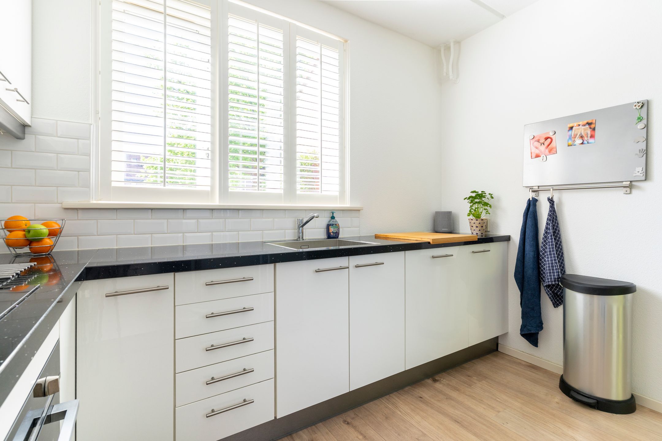 Foto 9 van Zeearend 3