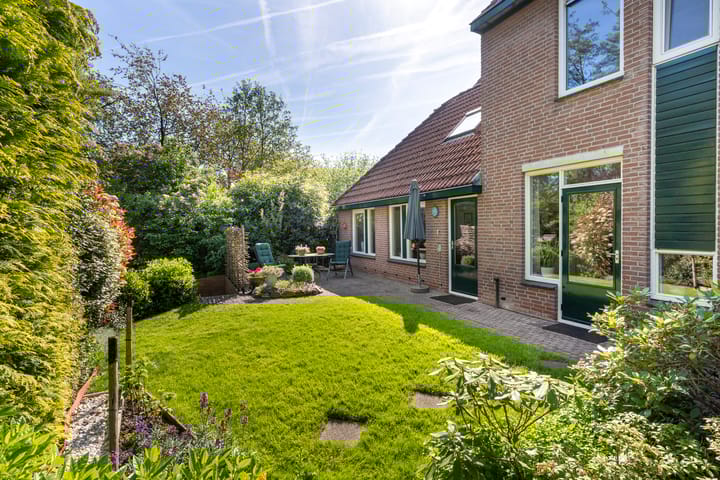 Foto 16 van Zeearend 3