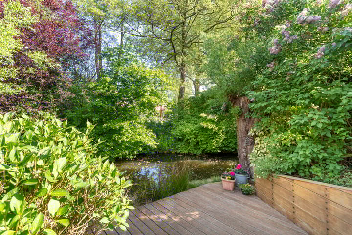 Foto 17 van Zeearend 3