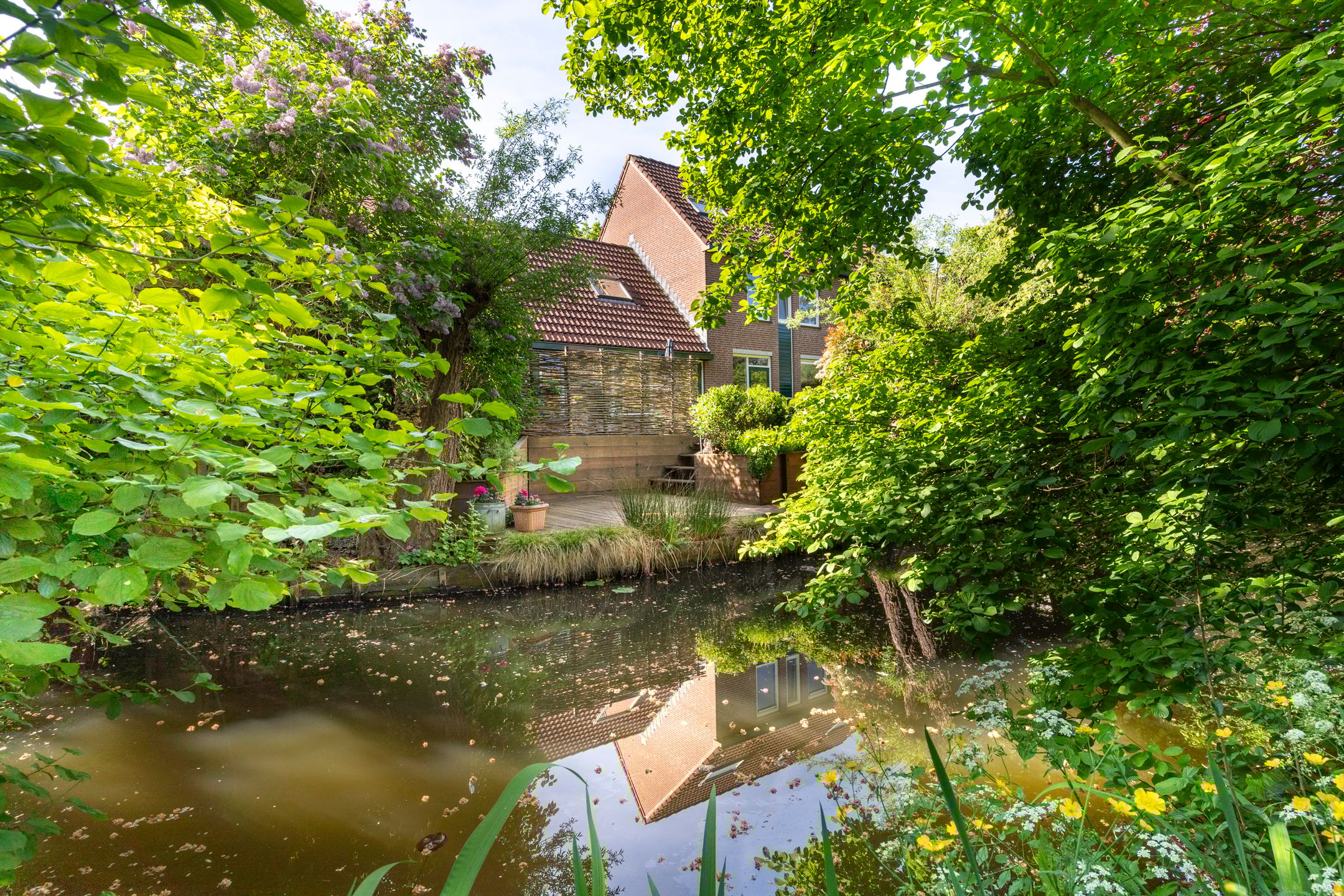 Foto 18 van Zeearend 3