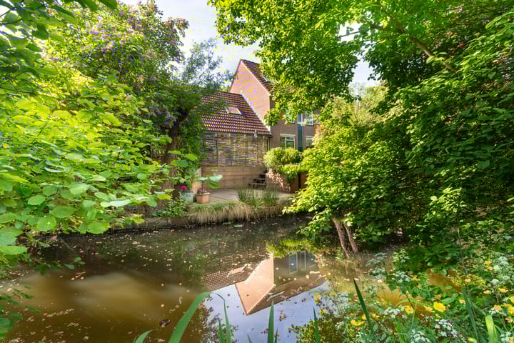 Foto 18 van Zeearend 3