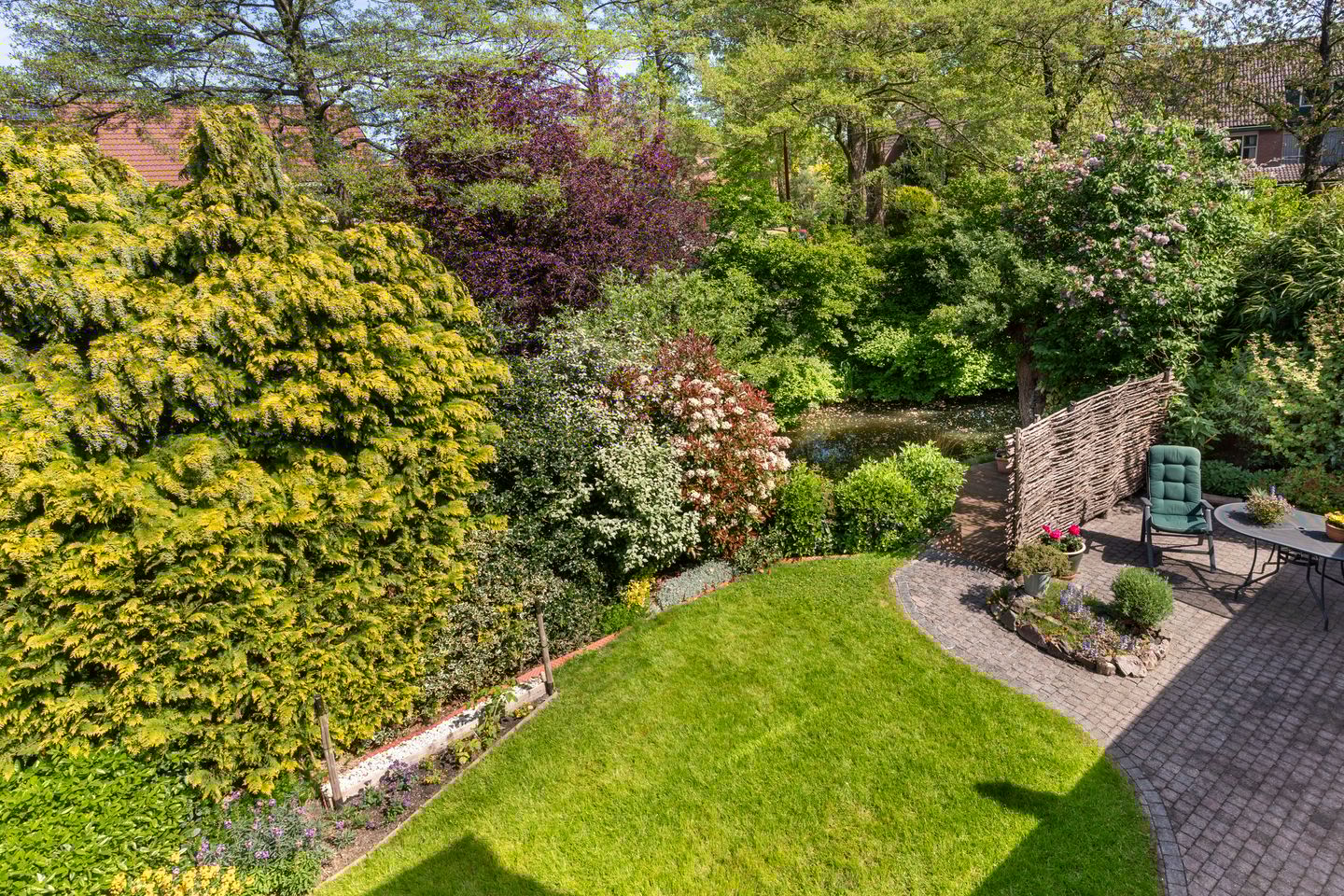 Foto 19 van Zeearend 3