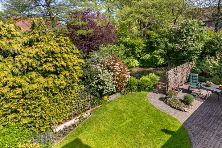 Foto 19 van Zeearend 3