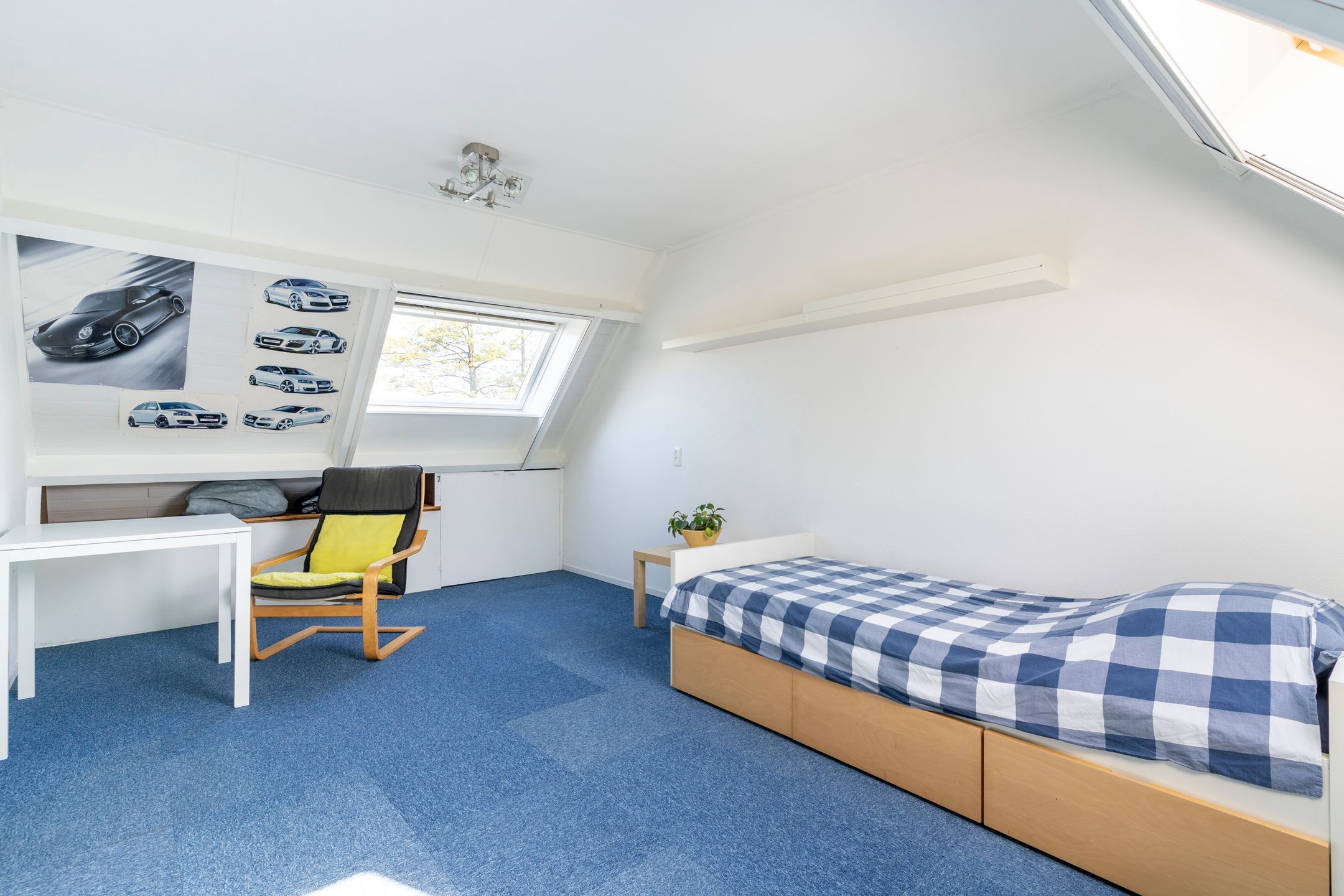 Foto 30 van Zeearend 3