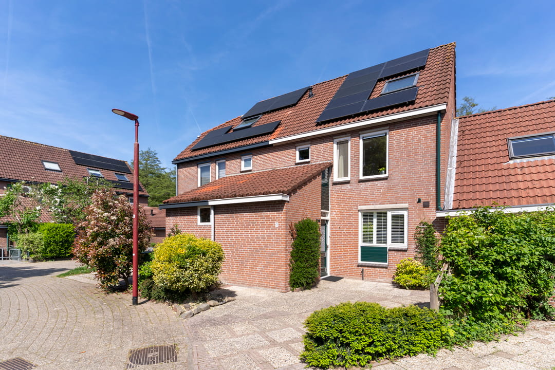 Foto 38 van Zeearend 3