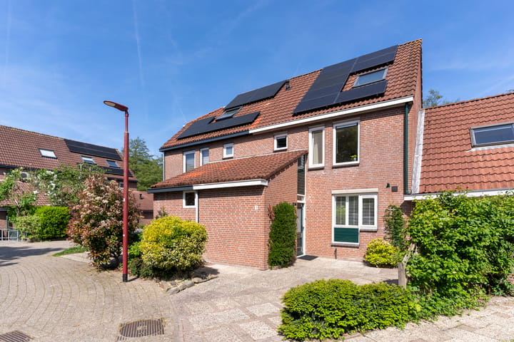 Foto 38 van Zeearend 3