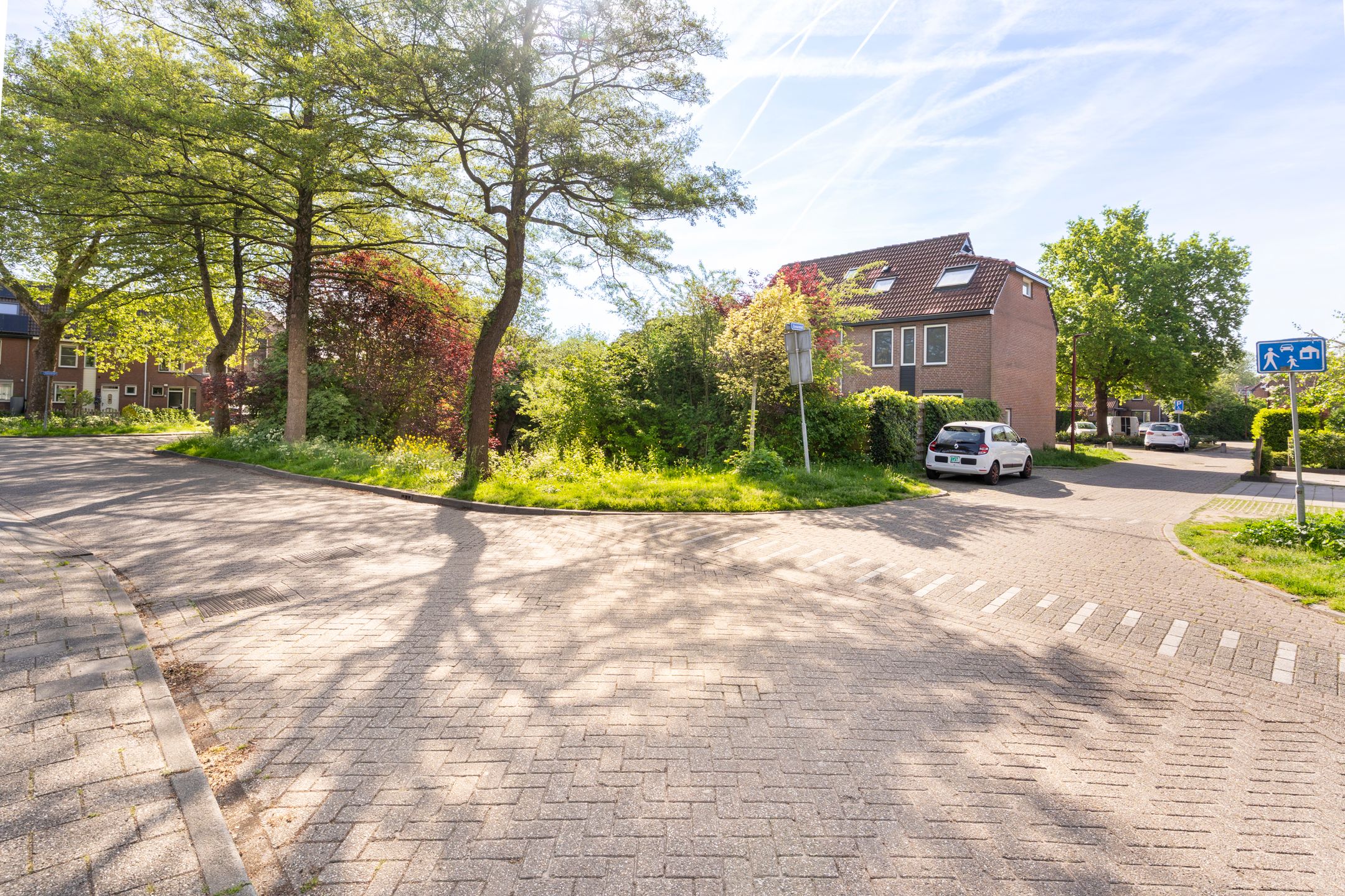 Foto 39 van Zeearend 3