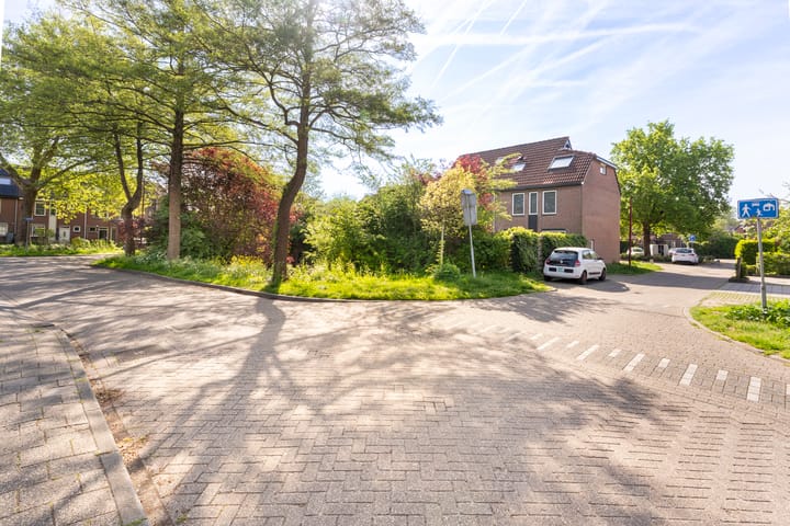 Foto 39 van Zeearend 3