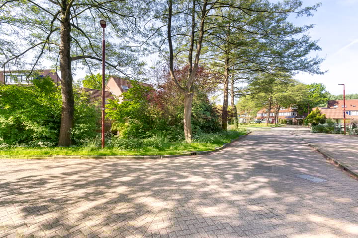 Foto 40 van Zeearend 3