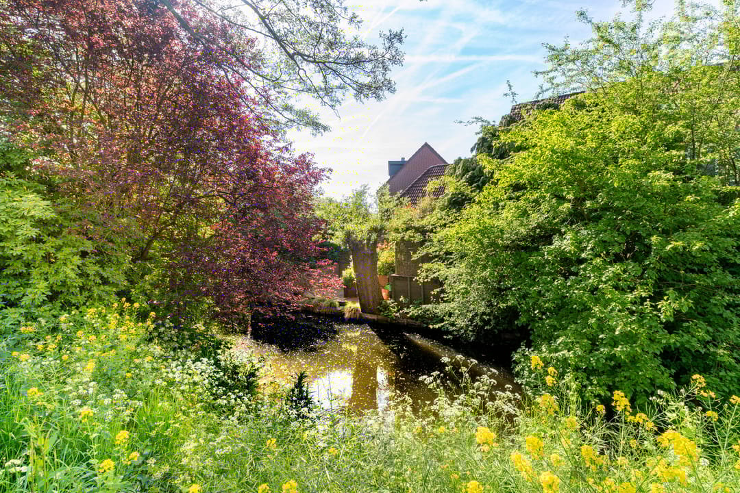 Foto 41 van Zeearend 3