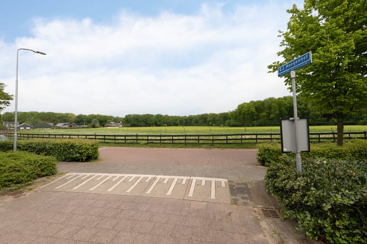 Foto 5 van E.J.Hoegenhof 6