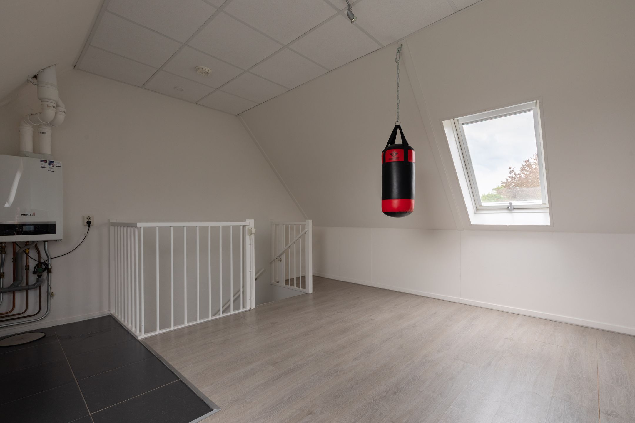 Photo 36 of E.J.Hoegenhof 6