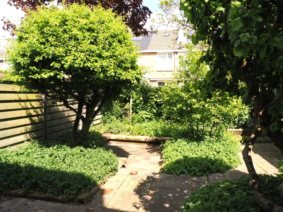 Foto 26 van Wagnerlaan 14