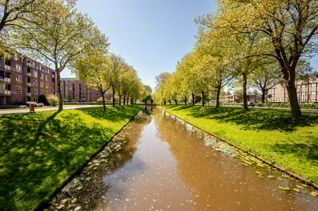 Kampwal 49 secondary image