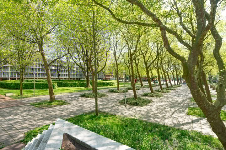 Foto 32 van Het Hoogt 205