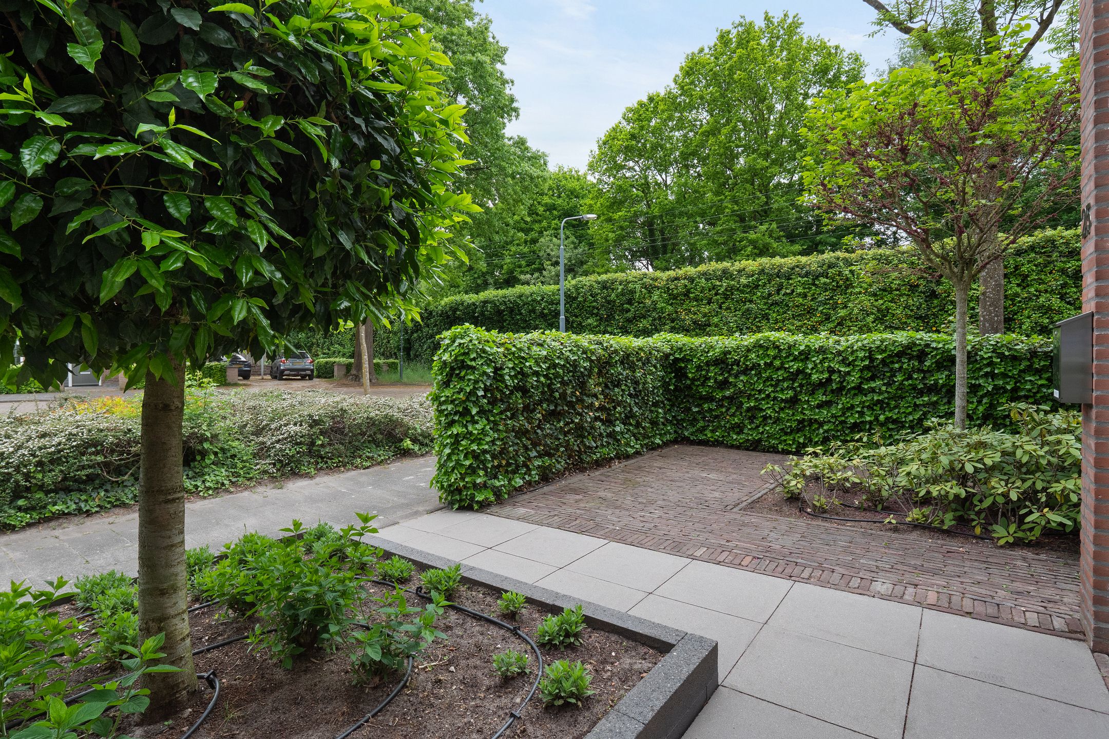 Foto 48 van Notenluststraat 25