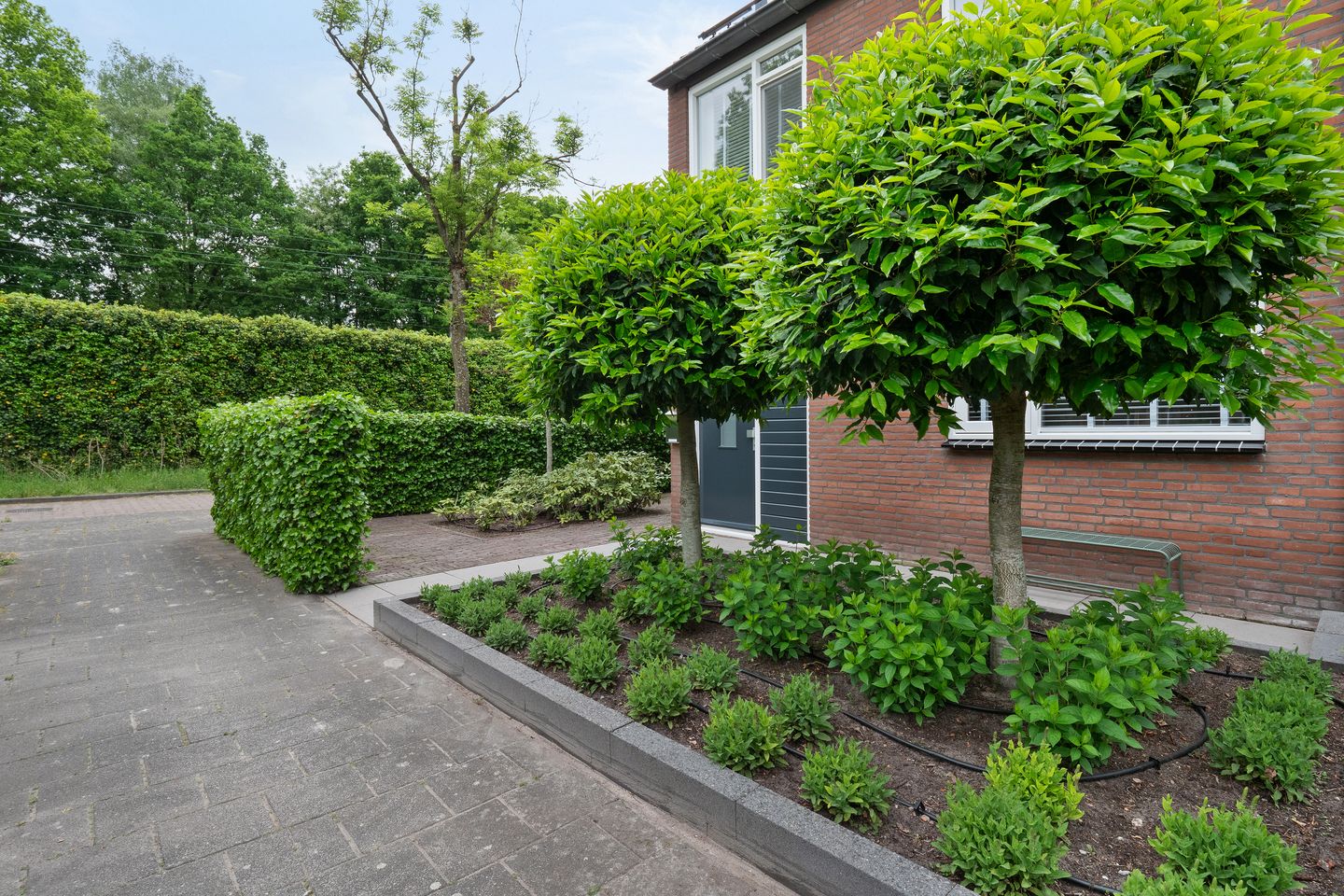 Foto 49 van Notenluststraat 25