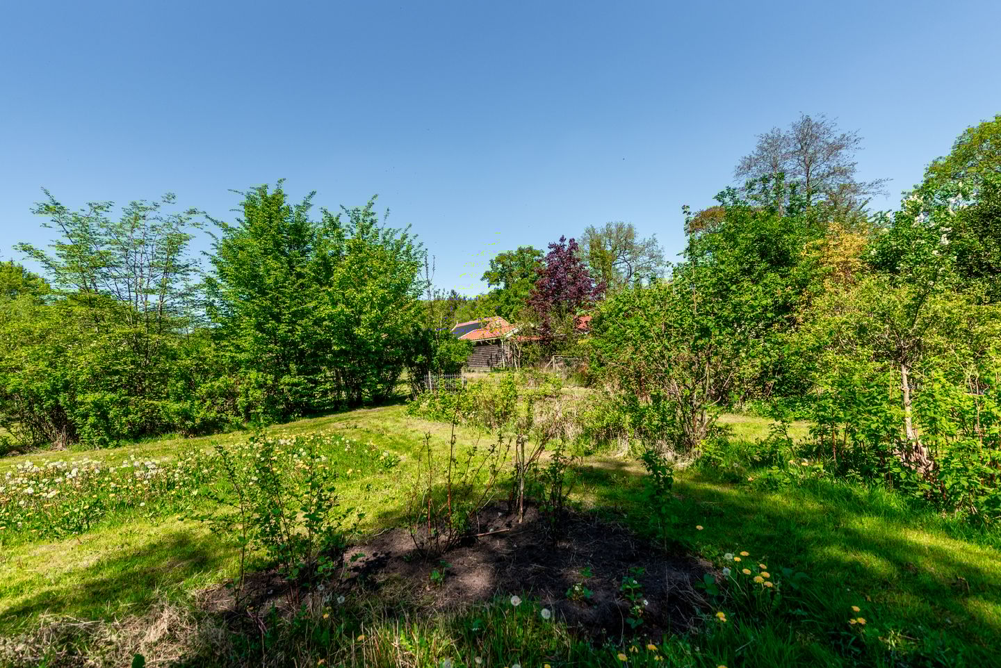 Foto 25 van Schoterlandseweg 70