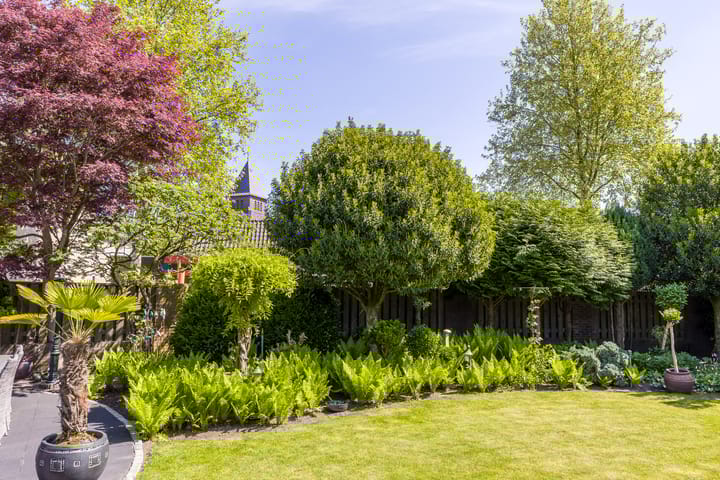 Foto 32 van Schoolstraat 35