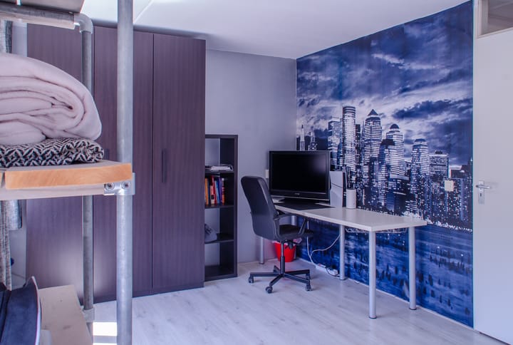 Photo 21 of Narcissenlaan 52