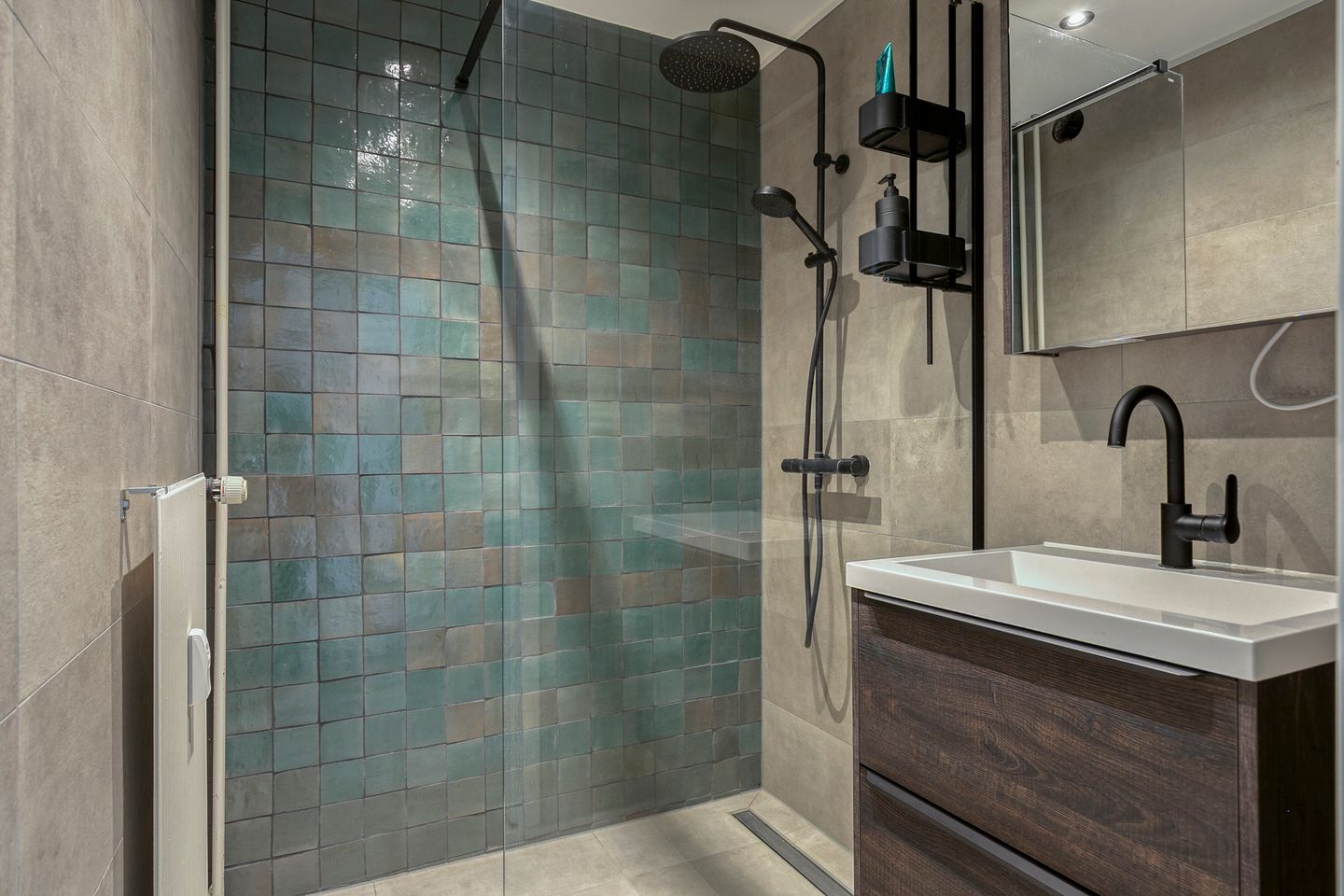 Foto 5 van de Koppele 421