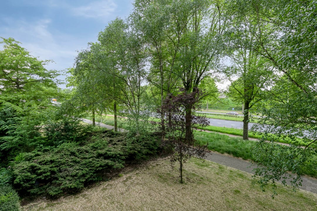 Foto 37 van de Koppele 421