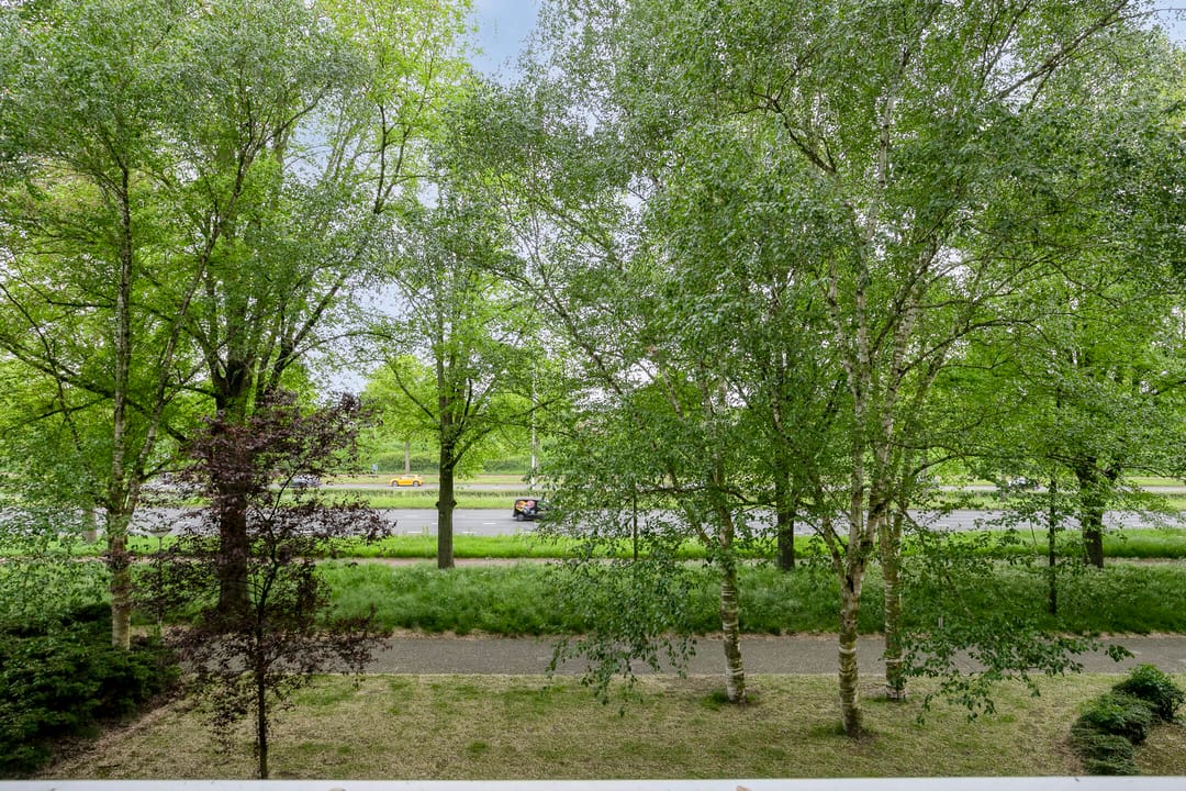 Foto 38 van de Koppele 421