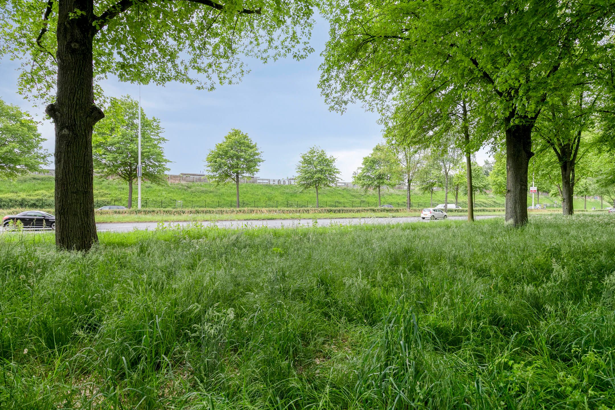 Foto 39 van de Koppele 421