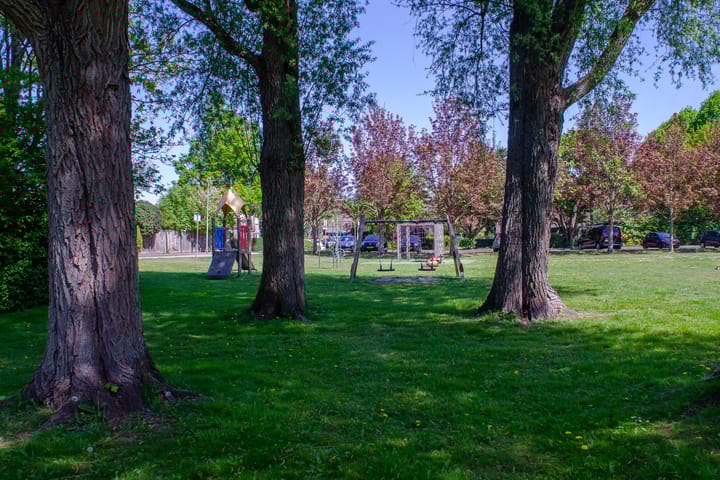 Photo 47 of Narcissenlaan 52