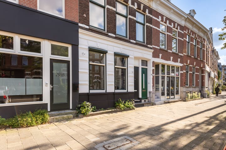 Foto 45 van Bergweg 240-A