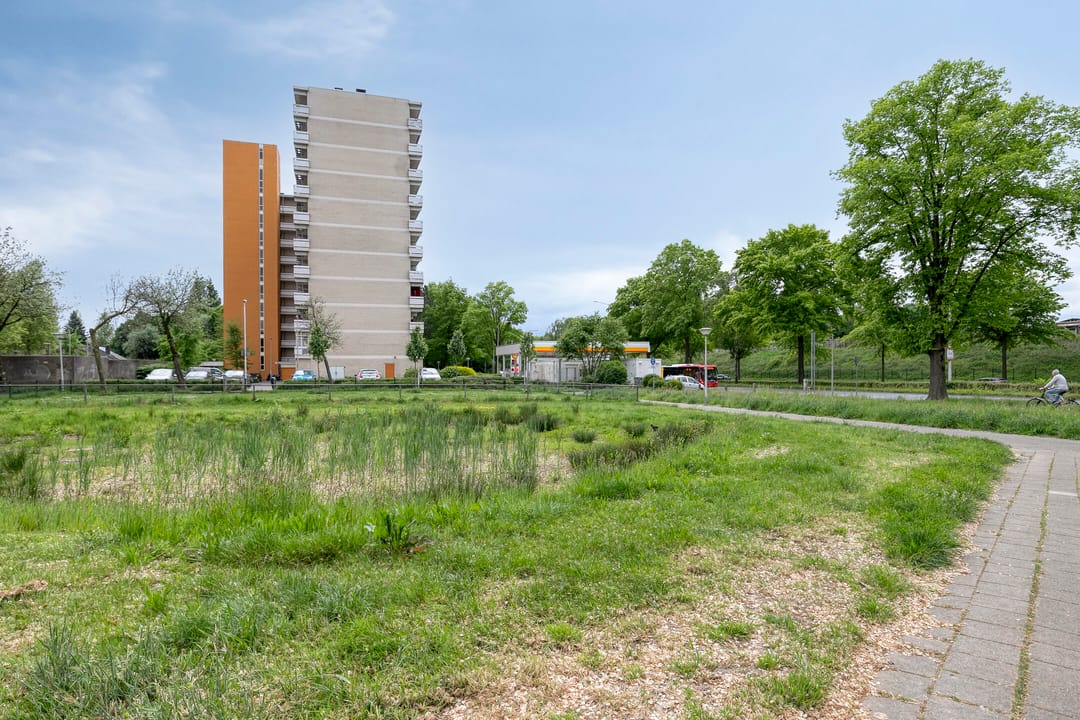 Foto 41 van de Koppele 421