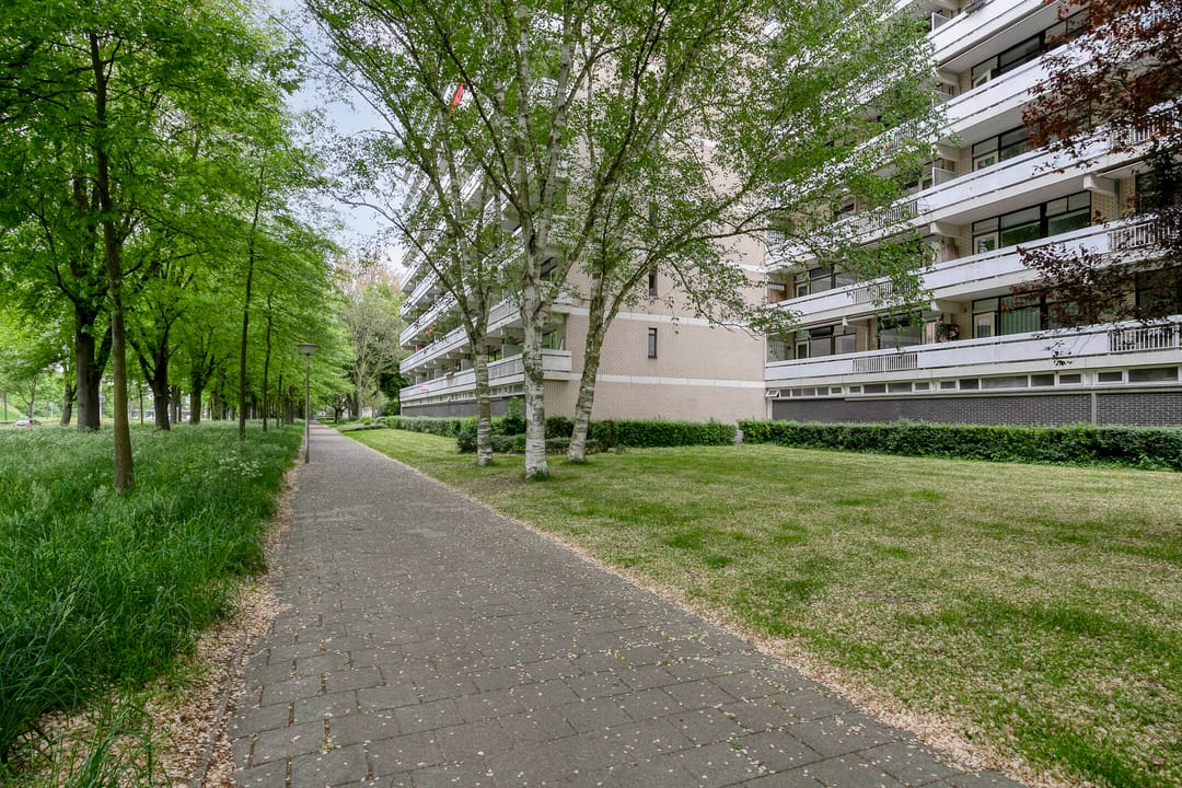 Foto 43 van de Koppele 421