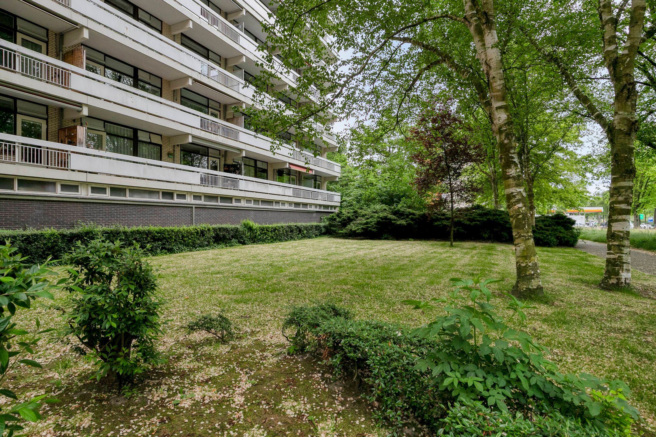 Foto 45 van de Koppele 421